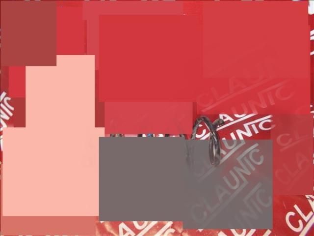 bontott FORD FIESTA VI Első Rugó