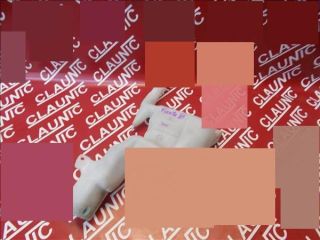 bontott FORD FIESTA VI Ablakmosó Tartály