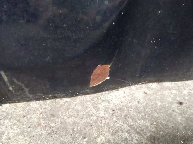 bontott FORD FIESTA VI Csomagtérajtó (Részeivel)