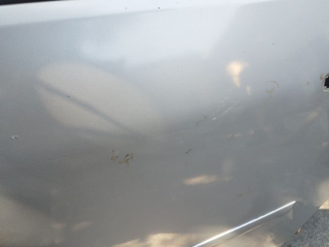 bontott FORD FOCUS C-MAX I Bal hátsó Ajtó (Üres lemez)