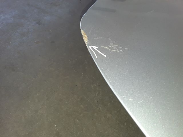 bontott FORD FOCUS C-MAX I Bal hátsó Ajtó (Üres lemez)