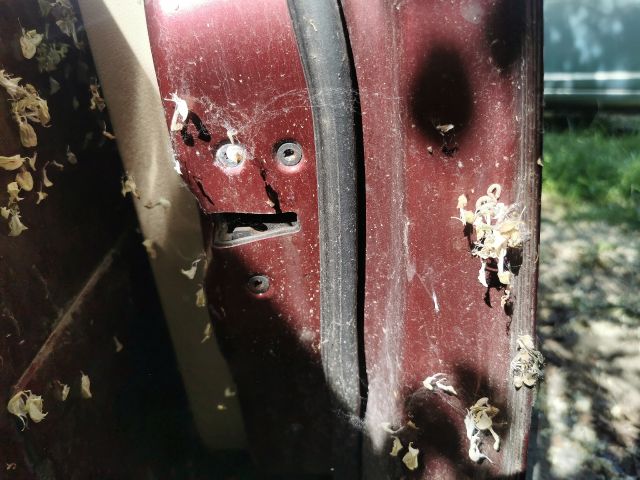 bontott FORD FOCUS C-MAX I Jobb első Ajtó (Részeivel)