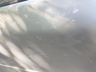 bontott FORD FOCUS C-MAX I Jobb első Ajtó (Üres lemez)