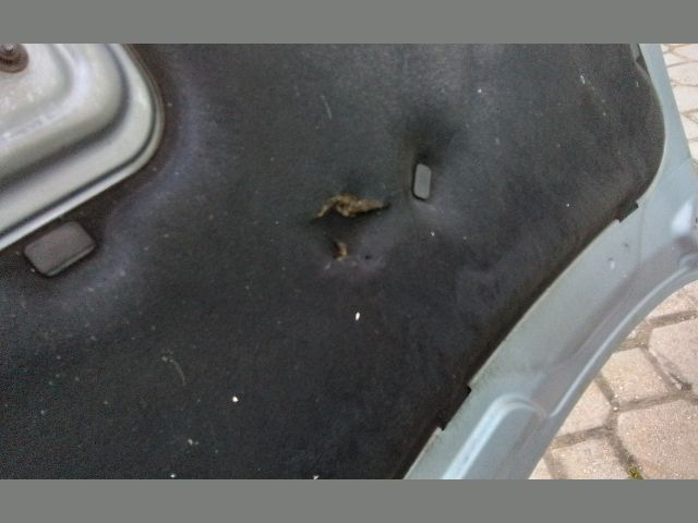 bontott FORD FOCUS C-MAX I Motorháztető