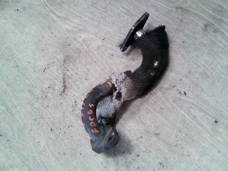 bontott FORD FOCUS I EGR Hűtő Cső