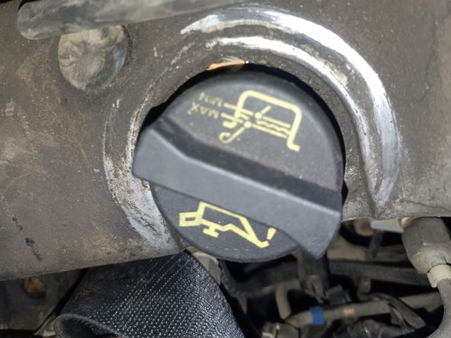 bontott FORD FOCUS I Olajbeöntő Sapka