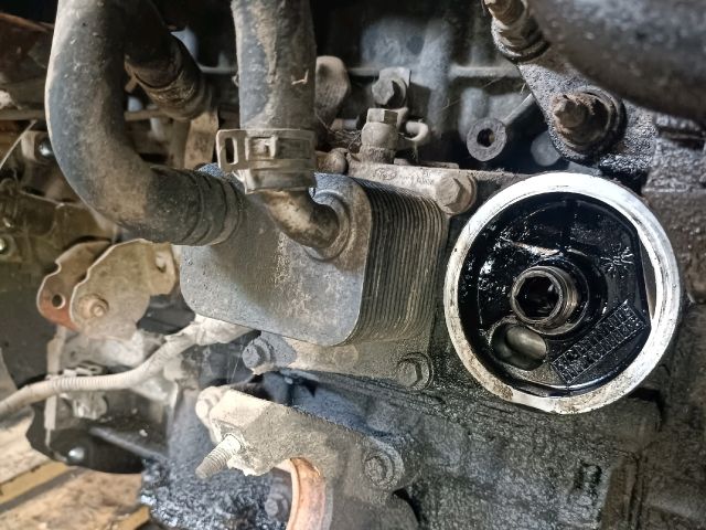 bontott FORD FOCUS I Olajhűtő