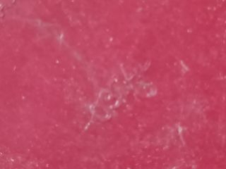 bontott FORD FOCUS I Bal Hátsó Lámpa