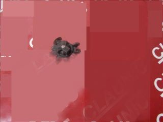 bontott FORD FOCUS II Porlasztó Sor / Híd