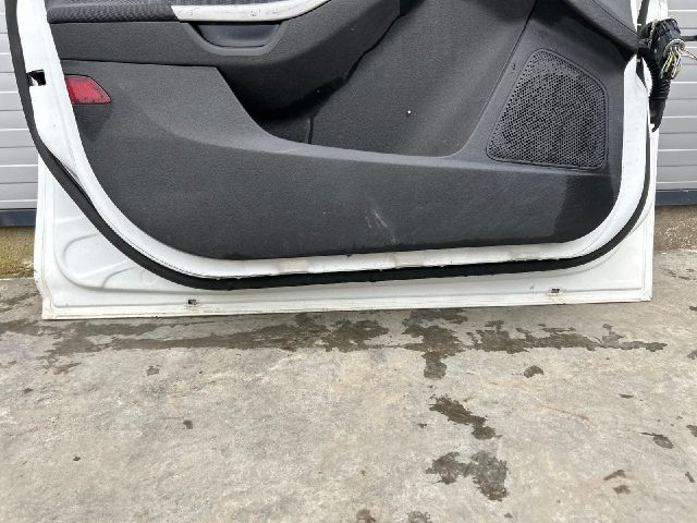 bontott FORD FOCUS II Bal első Ajtó (Üres lemez)