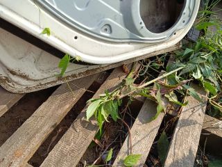 bontott FORD FOCUS II Bal hátsó Ajtó (Üres lemez)