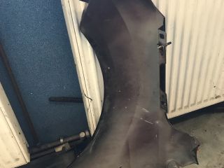 bontott FORD FOCUS II Jobb első Sárvédő