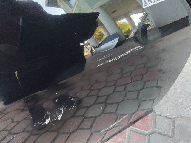 bontott FORD FOCUS II Jobb hátsó Ajtó Kárpit