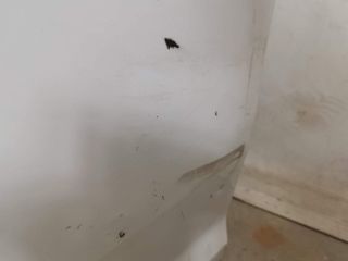 bontott FORD FOCUS III Bal első Ajtó (Üres lemez)