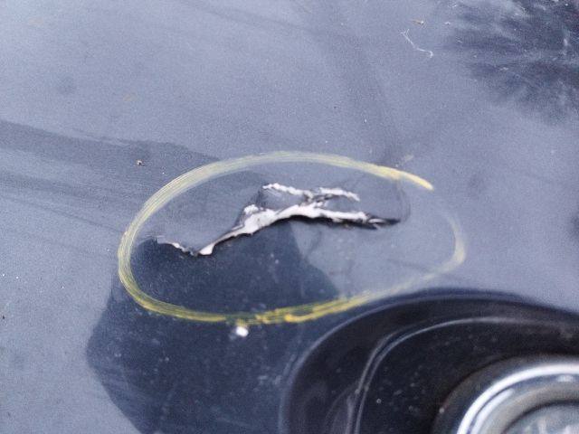 bontott FORD FOCUS III Első Lökhárító (Részeivel)