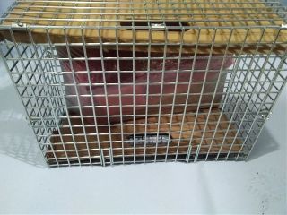 bontott FORD FOCUS III Jobb Oldallégzsák