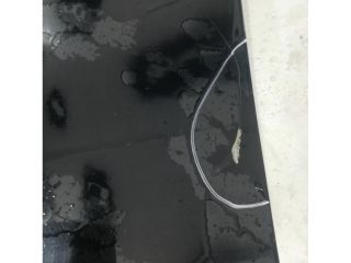 bontott FORD FOCUS IV Csomagtérajtó (Üres lemez)