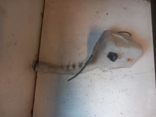 bontott FORD FUSION Ablakmosó Tartály