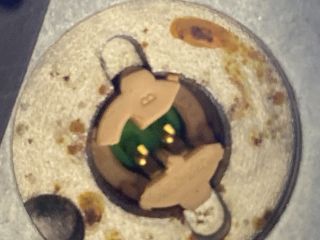 bontott FORD FUSION Utasoldali Légzsák