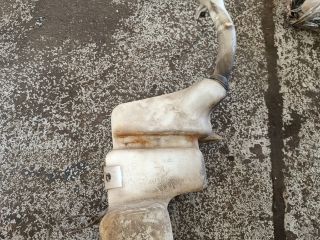 bontott FORD GALAXY Ablakmosó Tartály