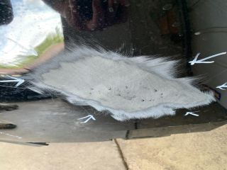 bontott FORD KA Hátsó Lökhárító (Üresen)