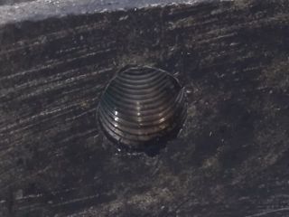 bontott FORD KA Váltó Tartó Bak (Pozíciófüggetlen)