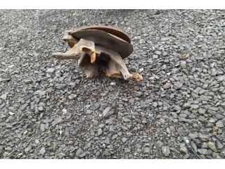 bontott FORD KUGA Jobb hátsó Csonkállvány