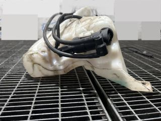 bontott FORD KUGA Ablakmosó Tartály