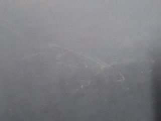 bontott FORD KUGA Bal első Ajtó Díszléc