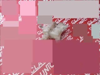 bontott FORD MONDEO III Ablakmosó Tartály