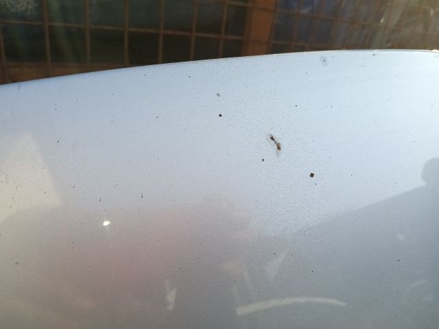 bontott FORD MONDEO III Motorháztető