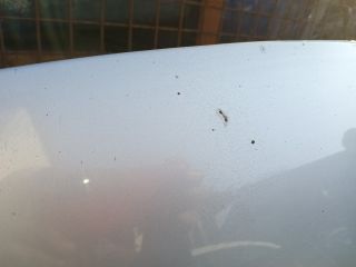 bontott FORD MONDEO III Motorháztető