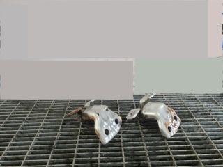 bontott FORD RANGER Ajtó Zsanér (Pozíciófüggetlen)