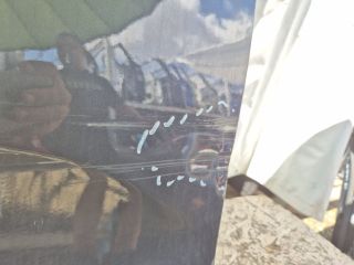 bontott FORD RANGER Jobb első Ajtó (Üres lemez)