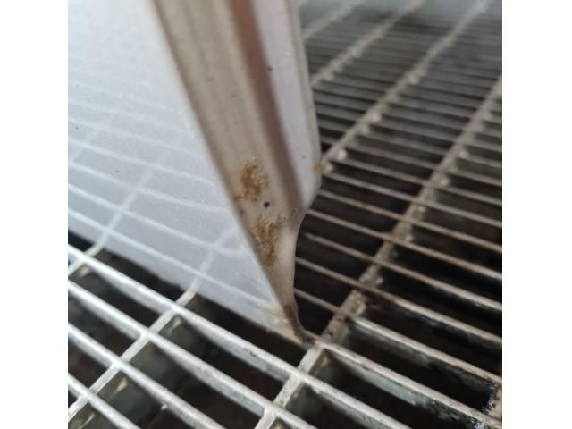 bontott FORD RANGER Jobb hátsó Ajtó (Üres lemez)