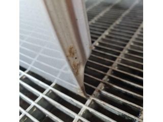 bontott FORD RANGER Jobb hátsó Ajtó (Üres lemez)