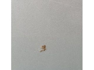 bontott FORD RANGER Jobb hátsó Ajtó (Üres lemez)