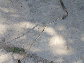 bontott FORD TRANSIT Szervócső