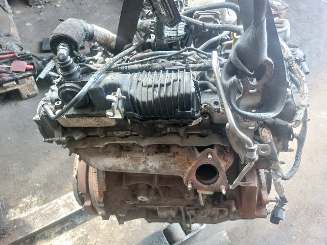 bontott FORD TRANSIT Komplett Motor (Segédberendezésekkel)