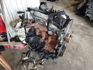 bontott FORD TRANSIT Motor (Fűzött blokk hengerfejjel)