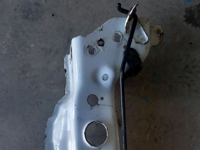 bontott FORD TRANSIT Homlokfal (Üres lemez)