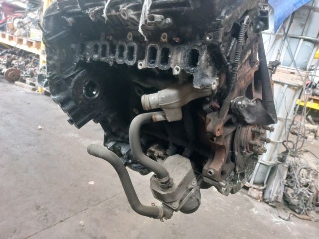 bontott FORD TRANSIT Motor (Fűzött blokk hengerfejjel)