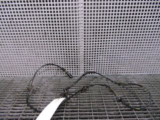 bontott FORD TRANSIT ABS Jeladó (Pozíciófüggetlen)