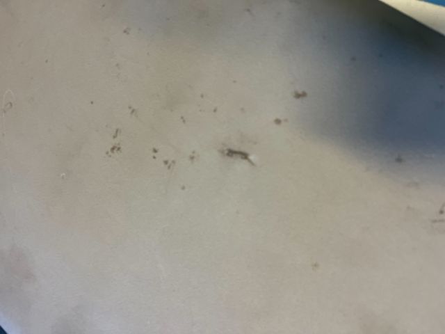 bontott FORD TRANSIT CONNECT Jobb Napellenző