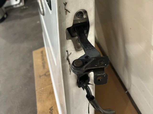 bontott FORD TRANSIT Csomagtérajtó (Üres lemez)