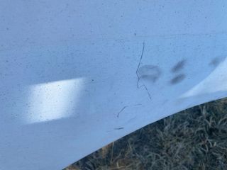 bontott FORD TRANSIT Jobb első Ajtó (Részeivel)