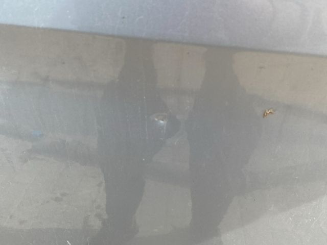 bontott FORD TRANSIT Jobb első Ajtó (Üres lemez)