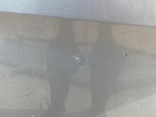 bontott FORD TRANSIT Jobb első Ajtó (Üres lemez)