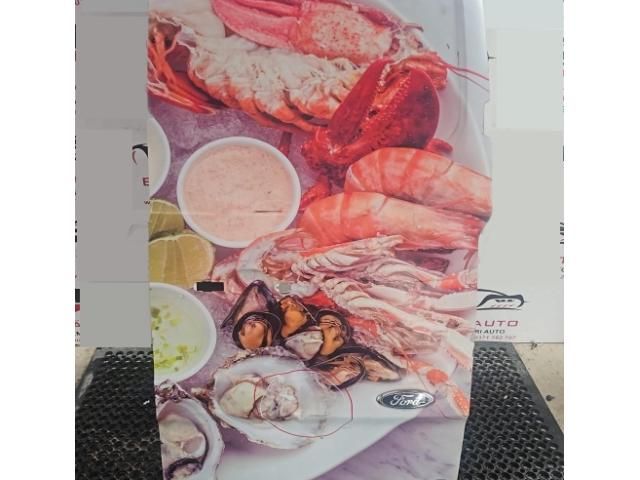 bontott FORD TRANSIT Jobb hátsó Ajtó (Üres lemez)