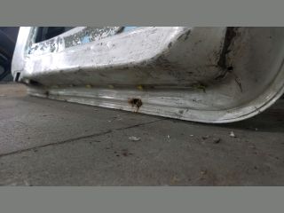 bontott FORD TRANSIT Jobb hátsó Ajtó (Üres lemez)